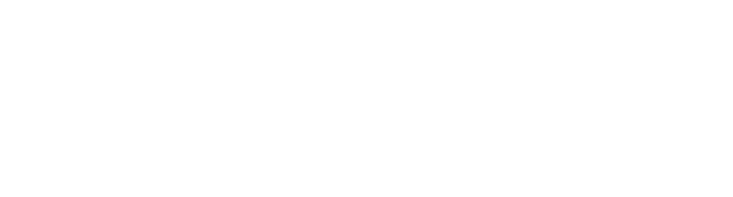 pp-logo